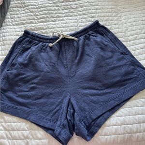 Aerie Navy Blue Shorts